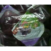 ʢ����Ҭ������������ζ��/500��