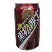 ����ɳʿ330��